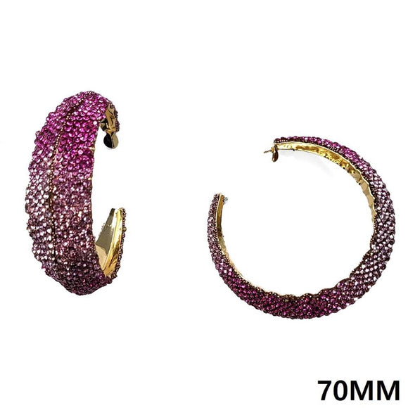 GOLD FUCHSIA OMBRE HOOP EARRINGS ( 10287 GFU )