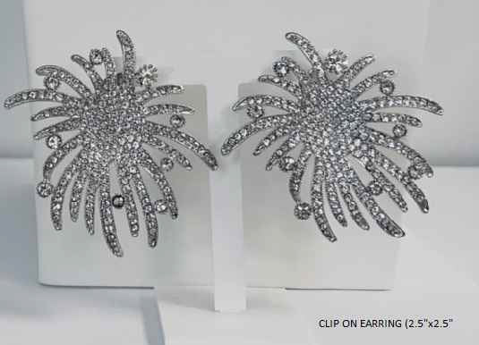 SILVER EARRINGS ( 3253 SCL )