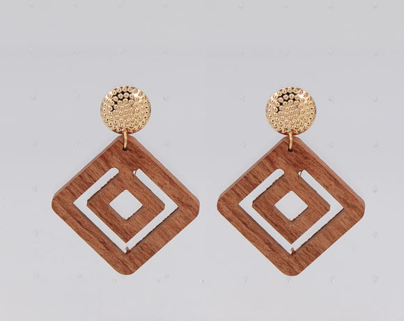 BROWN EARRINGS ( 2505 GLBRN )