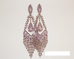 SILVER EARRINGS VIOLET STONES EARRINGS ( 1375 SVI )