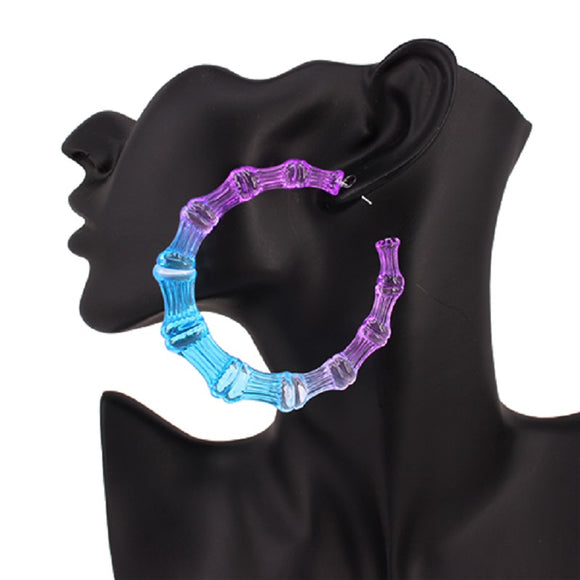 Purple Blue Acrylic Bamboo Earrings ( 2461 PUBL )