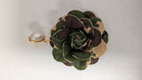 FASHION EARRINGS (KE2794 CM-2)