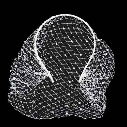 Head Band Face Net ( 1561 WTCLR )