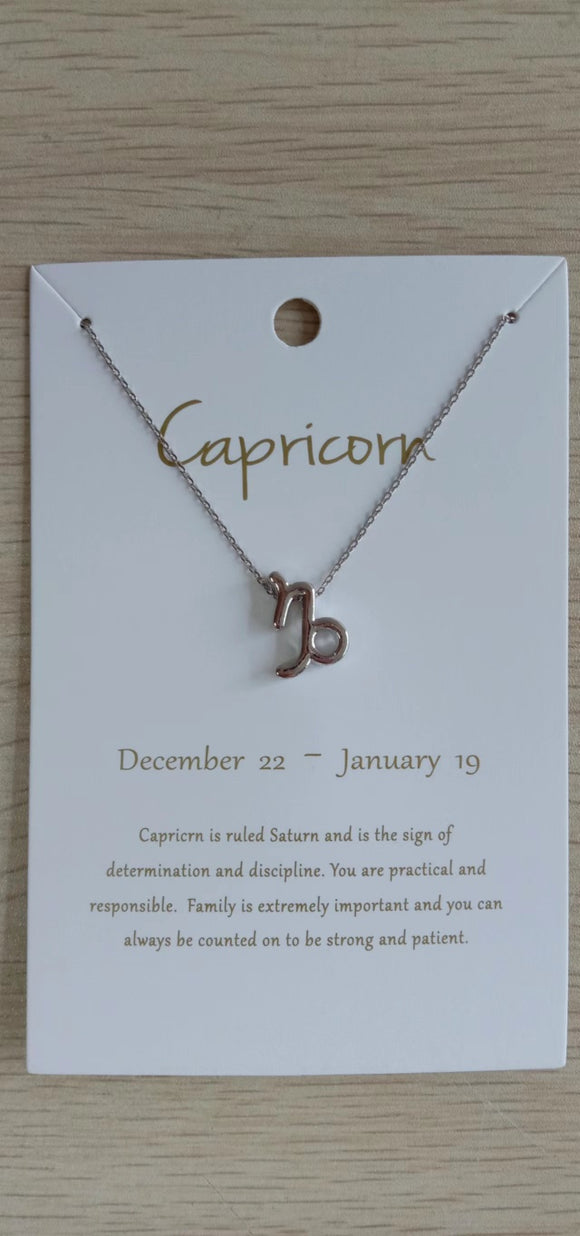 SILVER ZODIAC NECKLACE ( 0311 RHCP )