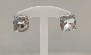 SILVER CLEAR COLOR Stud Earrings ( 3095 SCL )