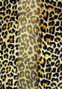 GOLD SATIN OBLONG SMALL LEOPARD PRINT SCARF ( 1435 GD ) - Ohmyjewelry.com