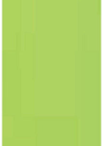 18" X 60" CHIFFON LIGHT GREEN SCARF ( 003 LGREEN ) - Ohmyjewelry.com